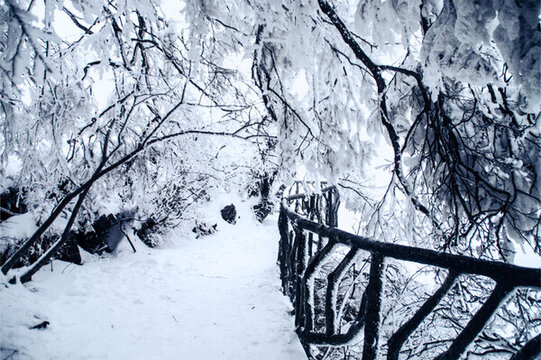 張家界天門山雪景