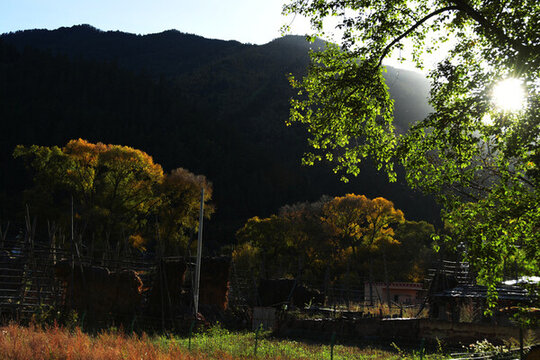 夕陽(yáng)下大山里的秋天