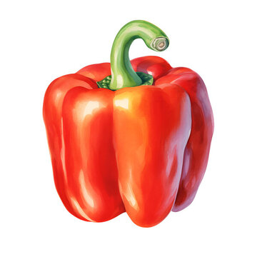 水彩紅椒插畫(huà)