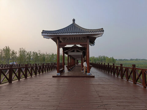 公園