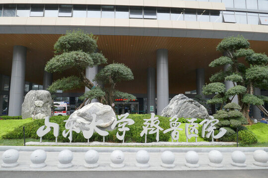 齊魯醫(yī)院