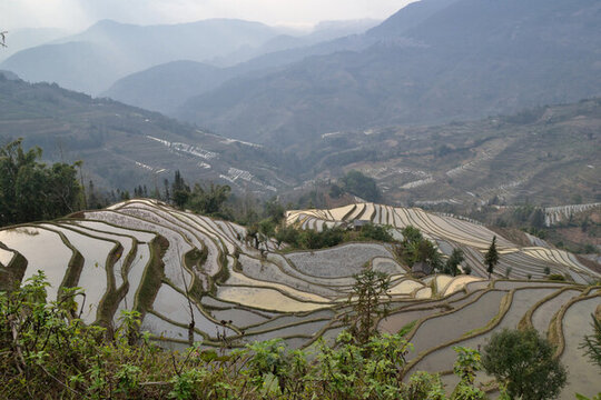 元陽(yáng)梯田