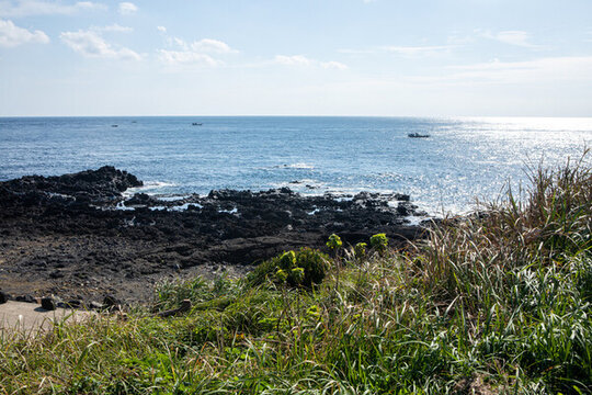 濟(jì)州島牛島