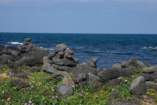 濟(jì)州島牛島