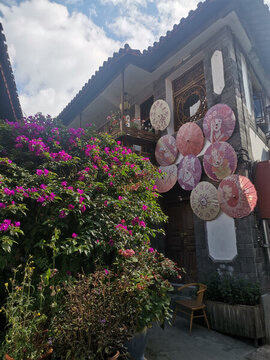 麗江花朵