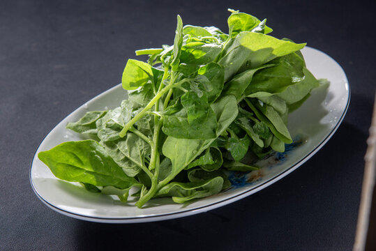 熗炒野菠菜