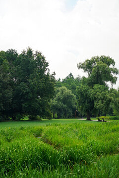公園綠化