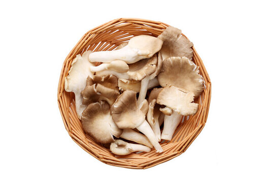 籃子里的新鮮平菇