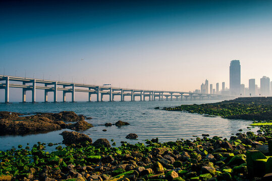 星海灣大橋