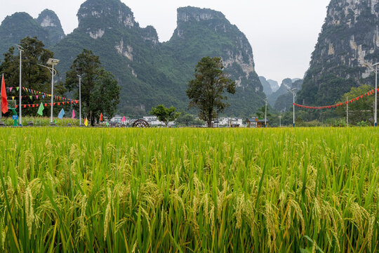 鄉(xiāng)村旅游