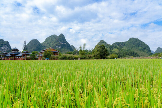 鄉(xiāng)村旅游