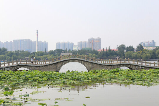 大明湖翠柳屏島
