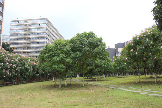 芙蓉花公園