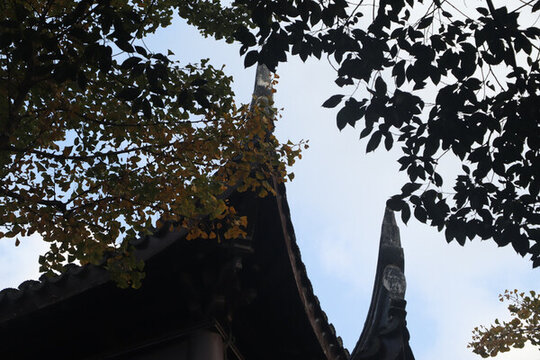 花溪公園