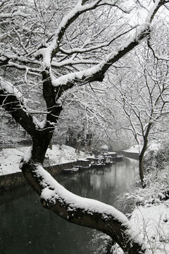 園林雪景