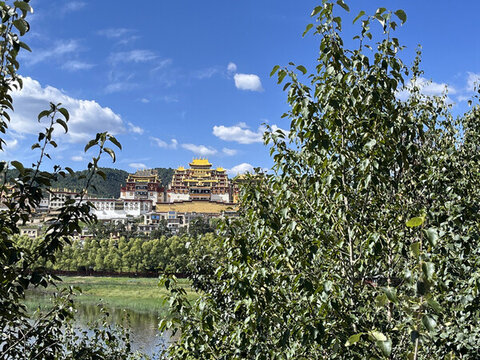 樹叢中的松贊林寺