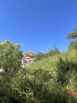 樹叢中的松贊林寺