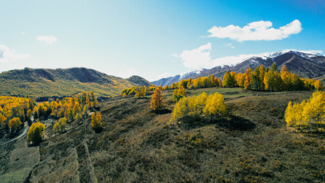 秋天航拍風(fēng)景