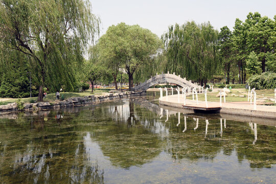 保定植物園