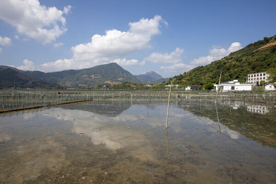 水田跳跳魚養(yǎng)殖