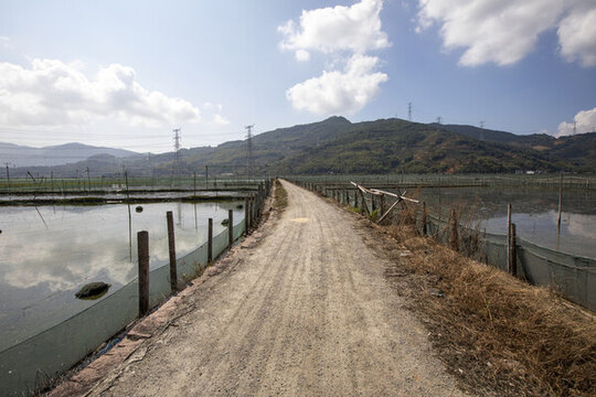 田間養(yǎng)殖跳跳魚