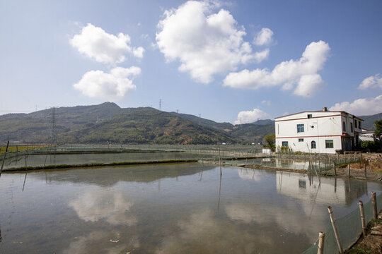 田間養(yǎng)殖跳跳魚