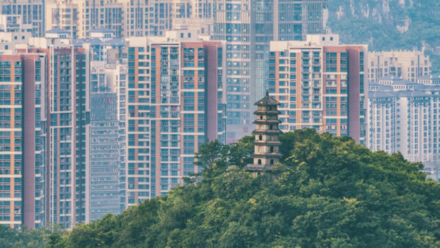 柳州住宅樓前蟠龍山頂?shù)姆鹚? style=
