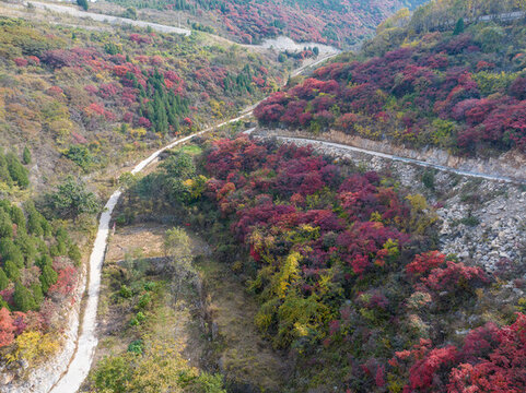 濟(jì)南彩石斷苕村紅葉