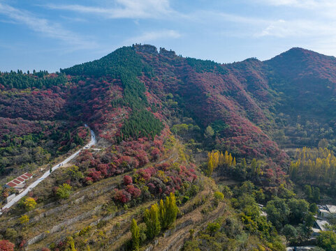 濟(jì)南彩石劈山紅葉