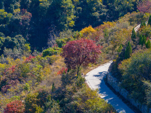 濟南彩石劈山紅葉