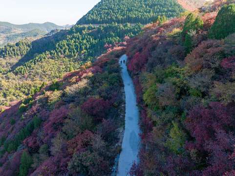 濟南彩石劈山紅葉