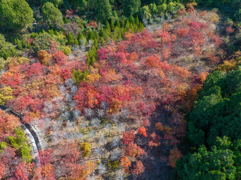 濟(jì)南扁石山山體公園秋色