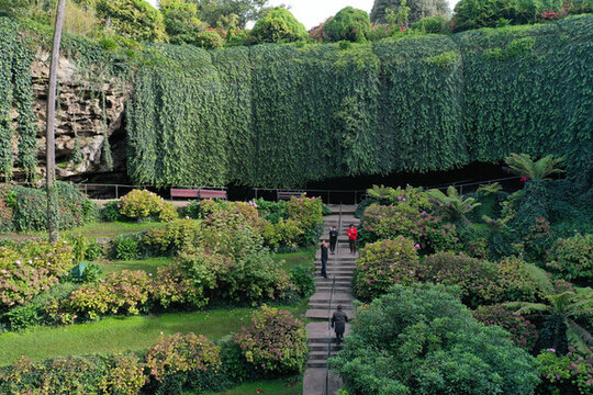澳大利亞洞穴花園
