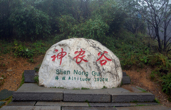 神農(nóng)架神農(nóng)谷