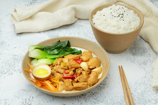 美味香辣雞肉飯