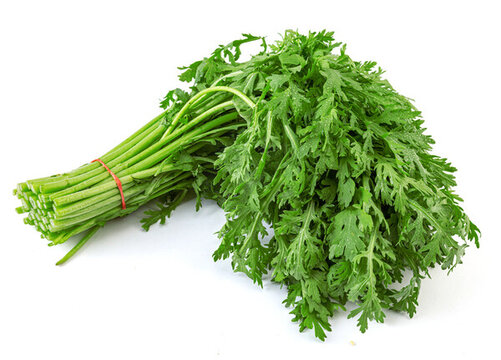 皇帝菜茼蒿