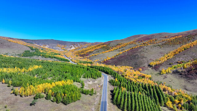 秋天的五彩山路