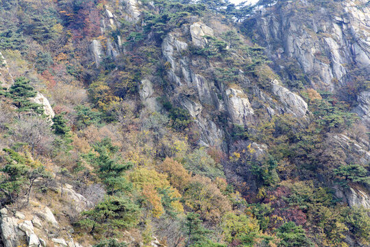 秋天的蒙山龜蒙景區(qū)