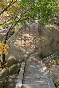 沂蒙山旅游區(qū)龜蒙景區(qū)