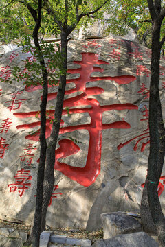 沂蒙山旅游區(qū)龜蒙景區(qū)