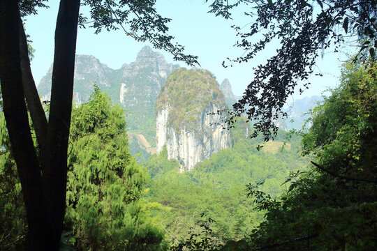 綠葉山峰