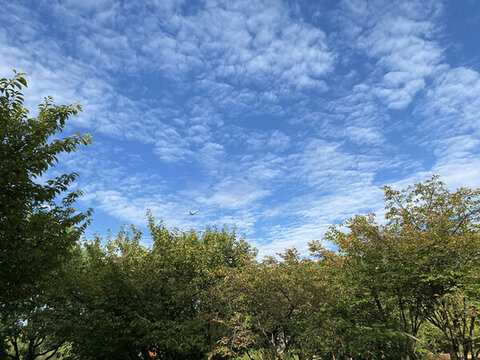 藍(lán)色的天空