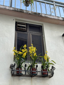 香港長洲民居