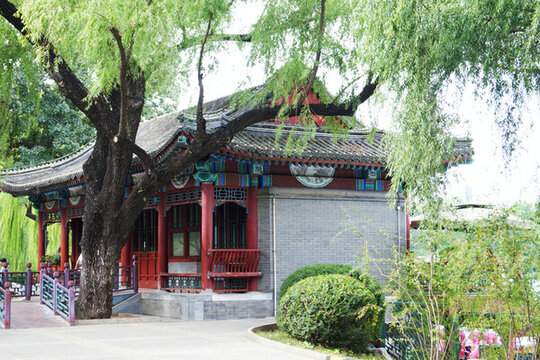 北京紫竹院風景