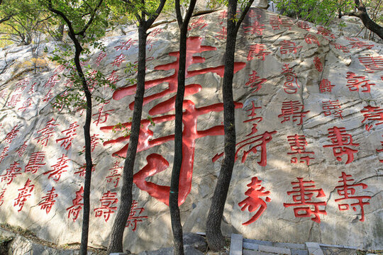 蒙山百壽摩崖石刻