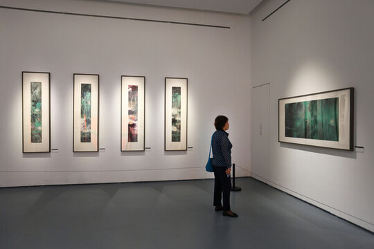 大芬美術(shù)館盧禹舜中國畫作品展