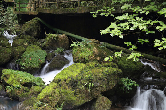 山泉