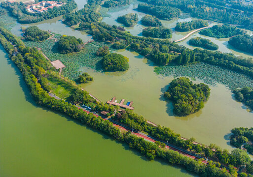 艾溪湖森林濕地公園