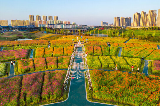 花海公園