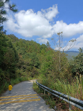 林區(qū)道路